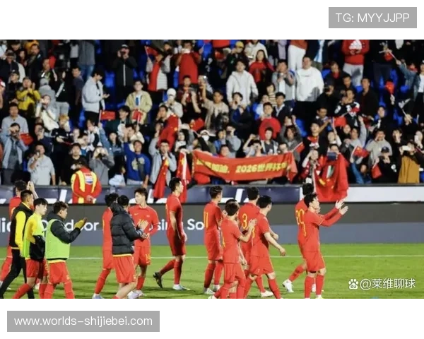 中国世界杯：中国球迷的热情支持与现场氛围的精彩瞬间