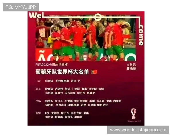 不同国家举办世界杯的优势与挑战：未来举办地点展望