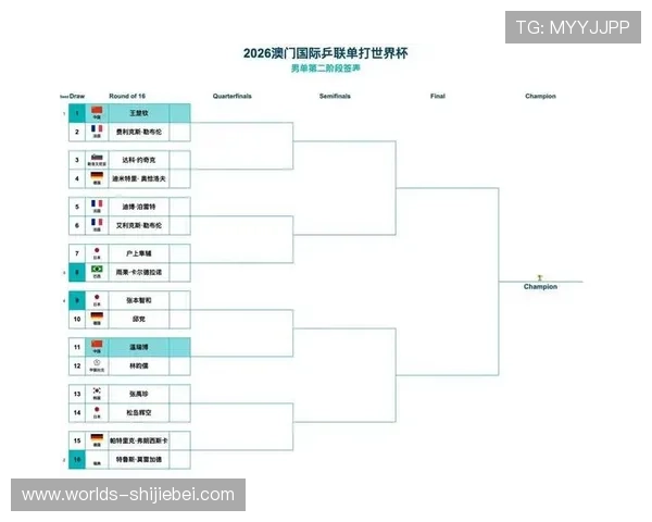 全面解读世界杯淘汰赛对阵图的最新变化与赛程预测