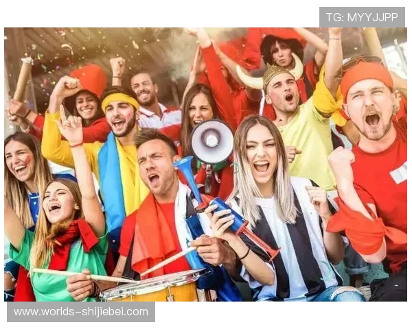 美国世界杯球迷分析：从年龄层到兴趣偏好全面解析球迷的观赛习惯