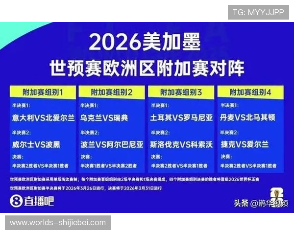 2026年世界杯名额分配图详解，帮助球迷理解各洲区的参赛资格分配原则